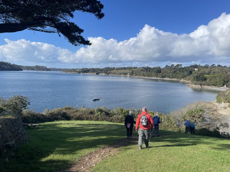 Trelissick